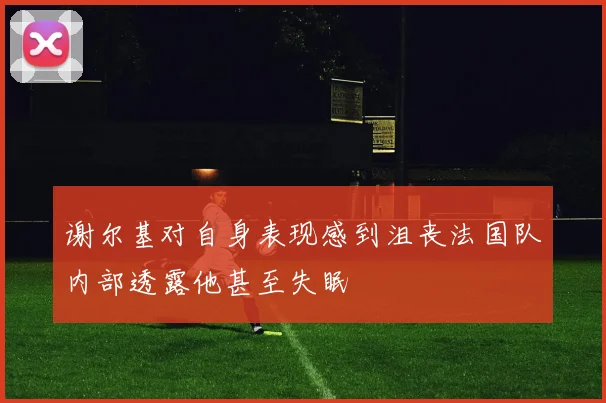 谢尔基对自身表现感到沮丧法国队内部透露他甚至失眠